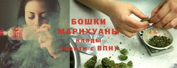 гашик Богородицк