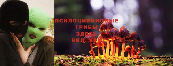a pvp Беломорск