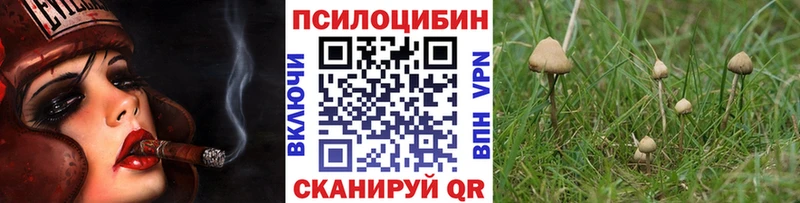 Псилоцибиновые грибы Psilocybine cubensis  Юхнов 
