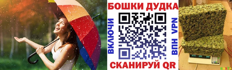 блэк спрут маркетплейс  Юхнов  Шишки марихуана план  цена наркотик 